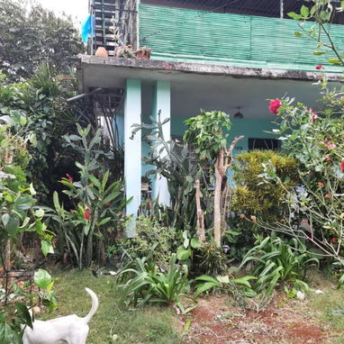Biplanta en bajos Atabey (también venden los altos )65mil 53582376 - 8/9