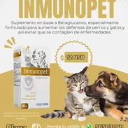 Inmunopet en suspensión oral para aumentar las defensas en perros y gatos - Img 56616428