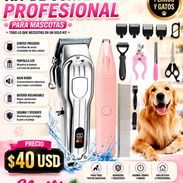🐶🐱✨ ¡PELUQUERÍA DE MASCOTAS EN CASA! ✨🐱🐶 ¿Quieres que tu peludito luzca limpio, bonito y bien arregladito? 🥰✂️🐾 Te - Img 56892672