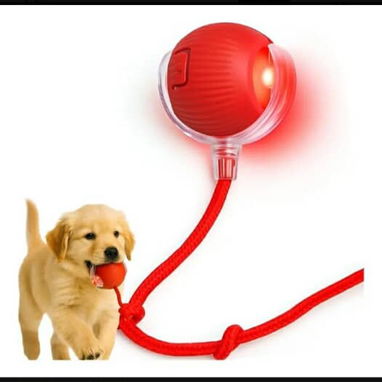 Pelota para mascotas( perros y gatos) - Img 125868025