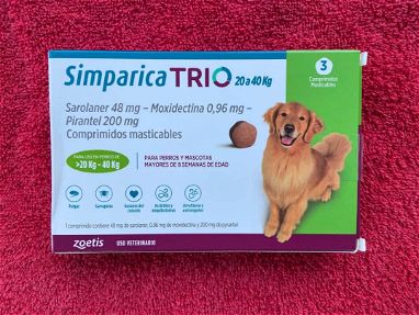 Vendo pastillas desparasitantes de perros - Img 64908192