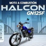 MOTO DE GASOLINA HALCON GN125 - Img 53546074