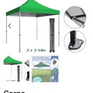 Carpa - Img 55778939