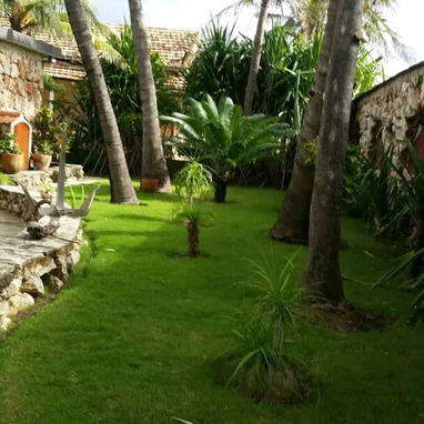 Alquiler de casa en Playa con vista al mar. Renta de casa en Santa Fe a metros del mar - 7/10