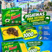 Trampas para ratones y Ratas . Veneno de Ratón - Img 57927996
