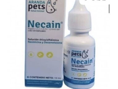 Necain. Neomicina y Dexametasona. *(Colirio)* Perros y gatos - Img main-image-44863024