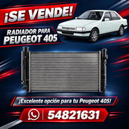 Radiador de Peugeot 405 - Img 53769386