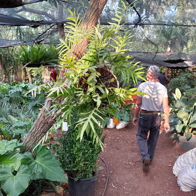 jardinería y Diseño - Img 120886813
