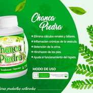 Chanca Piedra(elimina calculos renales/ayuda al funcionamiento del hígado) - Img 56946894