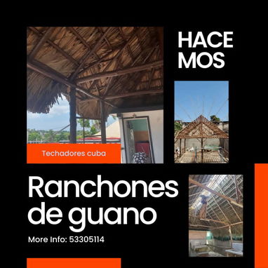 Ranchones de Guano para su Patio o su negocio ➡️✔️ - Img 118355845