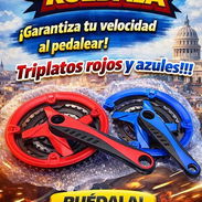 Triplatos de bicicleta - Img 58318831