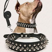 Collar de Púas XXL - Img 58088833