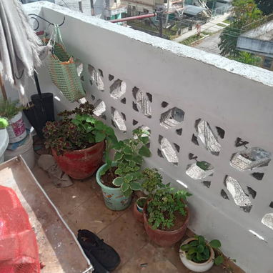 Apto de un cuarto en Vibora Park en 4to piso llegar y vivir - Img 125044304