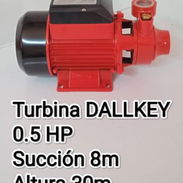 Turbina Dallkey 0.5 hp - Img 56574365