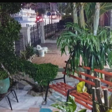 Se vende casa independiente en el vedado !! - Img 125903843