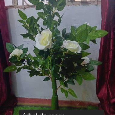 Planta hermosa - Img 121840674