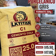 Cemento Porcelanico Gris Cola LKTITAN 25kg - Img 55748878