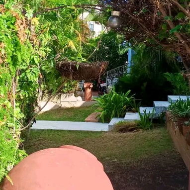 💥 GG-170 | ¡MAJESTUOSA CASA INDEPENDIENTE EN ESQUINA EN NUEVO VEDADO POR ! (5 CUARTOS, 5 BAÑOS, JARDÍN Y GARAJE) 🔑 - 2/10