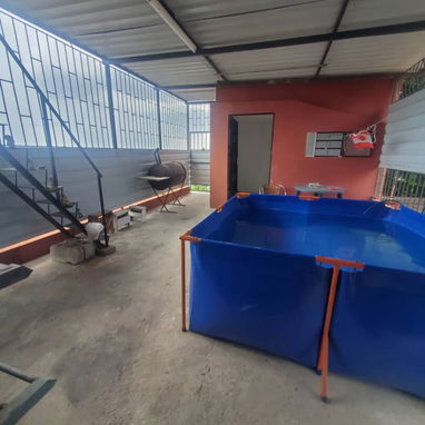 Venta de casas - Img 125956708