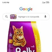 Comida para gatos 1 kg - Img 45654288