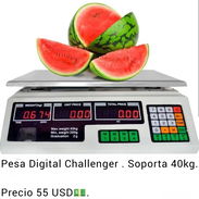 Pesa digital challenger - Img 56061238