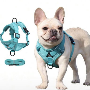 Artículos para perros - Img 125334671