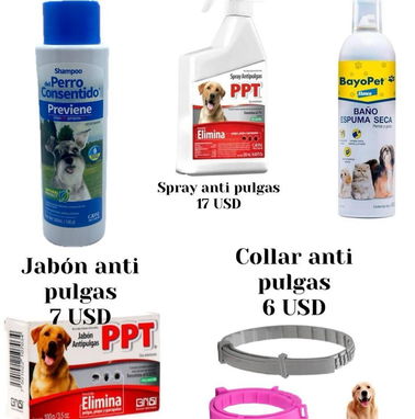 Collar, Shampo y jabón antipulgas, correas con pechera y retractil - Img 98178629