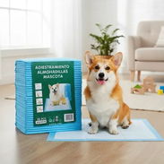 Tapetes de entrenamiento o paños absorbentes para mascotas - Img 58024823