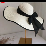 Sombreros de playa - Img 55757304