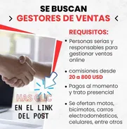 BUSCO GESTORES DE VENTA ONLINE SERIOS PARA VERDADEROS INTERESADOS 🚨 - Img 50903838