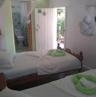 Alquiler de habitaciones disponibles en Viñales con ofertas de excursiones.54026428 - Img 50758051
