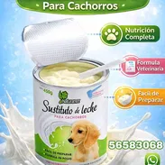 Sustituto de leche para perros cachorros - Img 50443979