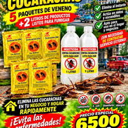 Combos para cucarachas - Img 58252825