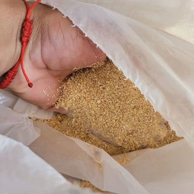 Vendo piensos para puercos y gallinas ponedoras - Img 124854129