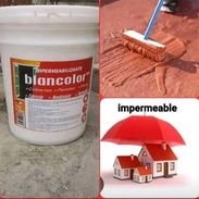 IMPERMEABILIZANTE marca BLANCOLOR de 10 y 19 litros - Img 54701439