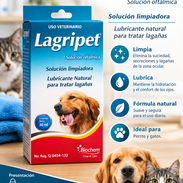 Lágrimas artificiales para mascotas - Img 58182979