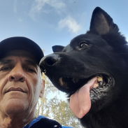 Adiestrador de perros - Img 55176436