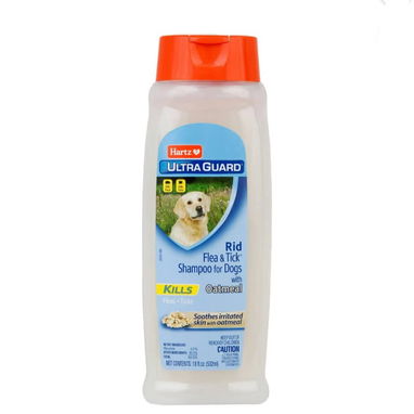 Shampoo para perros y gatos - Img 114643815