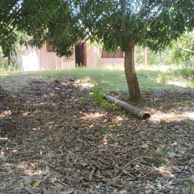 Venta de finca en jaruco mayabeque  pago en euros - 2/8