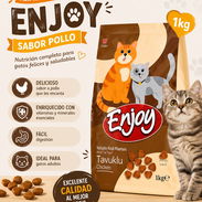 PIENSO IMPORTADO PARA GATOS. BOLSA 1 Kg - Img 56049912