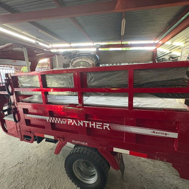 Triciclo de Gasolina Panther 2025 - Img 123566932