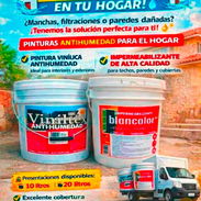 Venta de pinturas de alta gama importadas originales - Img 55360725