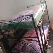 Litera personal con colchón de muelles 🕊️ entrega a domicilio sin costo adicional en toda la Habana - Img 51060974