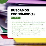 BUSCAMOS ECONÓMICO (A) - Img 54866845