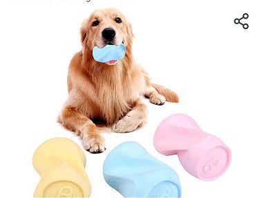Juguetes resistentes para mascotas - Img main-image-45658441