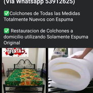Espuma Antichinchas para la Restauración de Colchones - Img 53799734