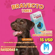 💊𝗕𝗥𝗔𝗩𝗘𝗖𝗧𝗢 𝟭M 20-40kg - Img 52572520