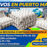 ⚡ HUEVOS FRESCOS YA EN PUERTO MARIEL - Img 57509461