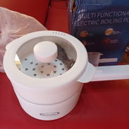 Sarten eléctrico.de bajo.consumo pa ecoflow - Img 57202018
