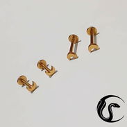 Piercing - Img 55690056